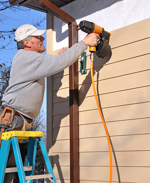 Best Stone Veneer Siding  in USA